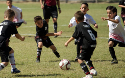 Grizzlies Cup 2025: A Celebration of Sports, Community, and Fun